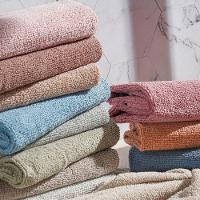 Kit 2 Panos Microfibra Multiuso 60x80cm - 3