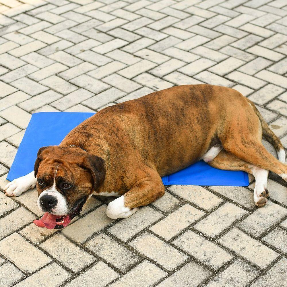 Tapete Gelado Pet Cães E Gatos Tamanho G 50x65cm Azul - 2