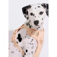 Peitoral Para Pet Verde - G Verde - 2