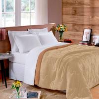 Edredom Buettner Solteiro Plush Flannel 100% Poliéster Dupla Face 160mx240m Khaki Escuro E Khaki Claro - 3