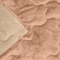 Edredom Buettner Solteiro Plush Flannel 100% Poliéster Dupla Face 160mx240m Khaki Escuro E Khaki Claro - 4