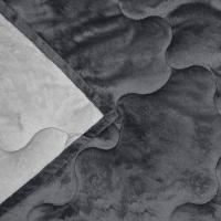 Edredom Buettner Solteiro Plush Flannel 100% Poliéster Dupla Face 160mx240m Metal Escuro E Metal Claro - 4