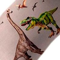 Fronha Portallar Malha 100% Algodão Estampa Localizada Jurassic 48cmx68cm Branco - 2