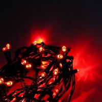 Cordão Com 50 Lampadas De Led Formato Pequena Gota 5 Metros Fio Verde Escuro Vermelho - 2