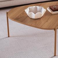 Mesa De Centro Organica Pe Metal Dourado Hanover 28015 Artesano - 3