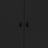 Armário Multiuso Ditália 2 Portas Com Rodízios Ar-70 Preto - 2