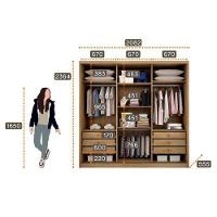 Guarda Roupa Casal Ambiente Medelim 3 Portas 6 Gavetas Cumaru 25 Fendi Com Espelho – Novo Horizonte - 2
