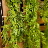 Folhagem Pendente Artificial Mini Samambaia Verde 80cm - Mc Flores - 2