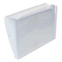 Pasta Sanfonada A4 Com 12 Divisórias Cristal - Acp - 2