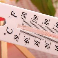 Termometro Ambiente De Parede Casa Sauna Escritório Sitio Interno Externo Analogico Higrometro Escala °c E °f