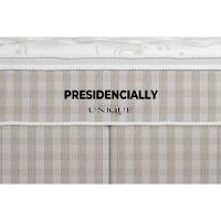 Colchão Casal Molas Ensacadas Masterpocket Presidencially Pillow (138x188x34) - Plumatex - 5