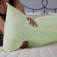 Capa Para Travesseiro Fofuxão 1 Peça 1,46m X 46cm 80% Algodão - 20% Poliéster Percal 140 Fios Com Zíper Cor:verde - 3