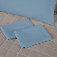 Capa Para Travesseiro Fofuxão 1 Peça 1,46m X 46cm 80% Algodão - 20% Poliéster Percal 140 Fios Com Zíper Cor:azul - 2