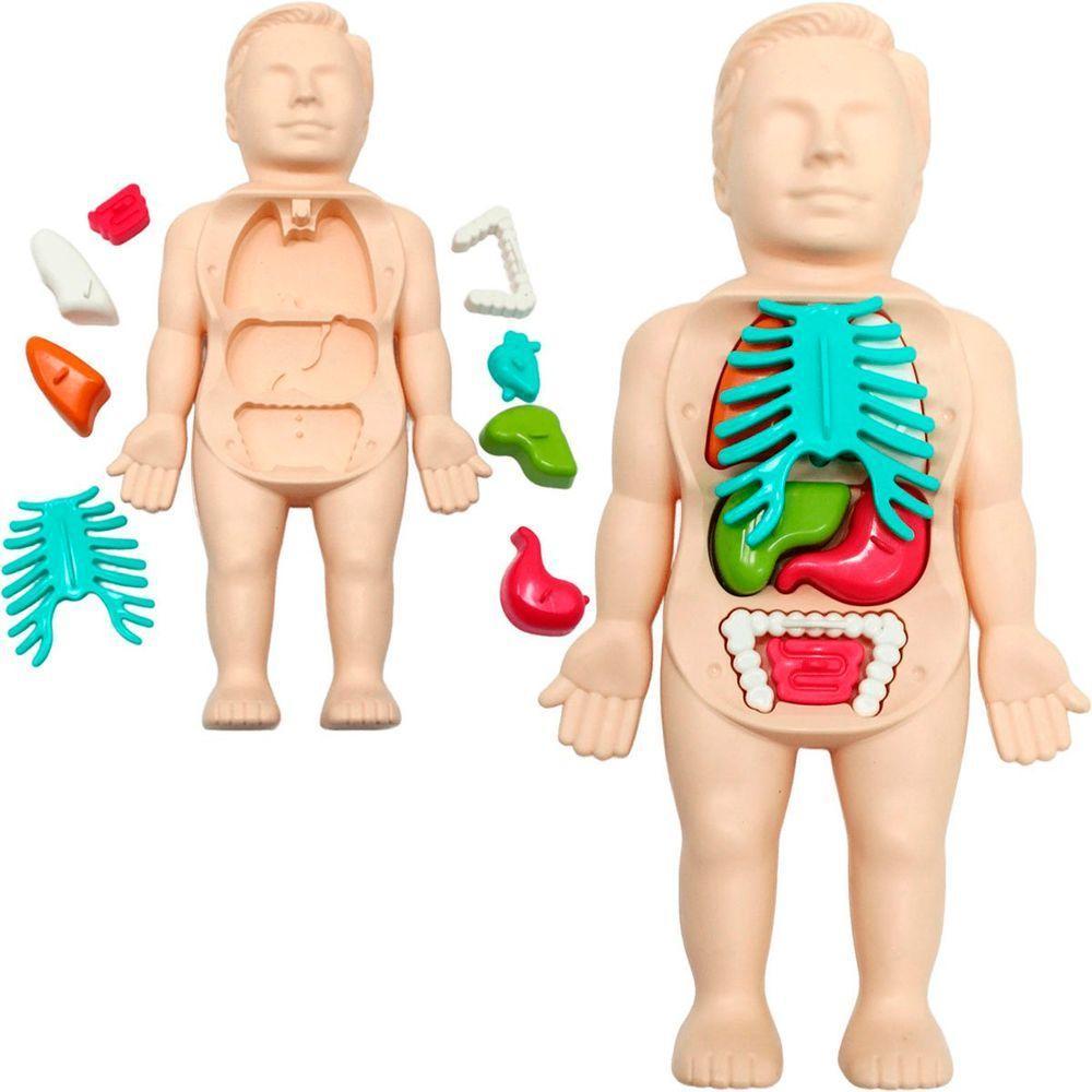 Kit Brinquedo Médico Infantil Anatomia Do Corpo Boneco 25pçs - 2
