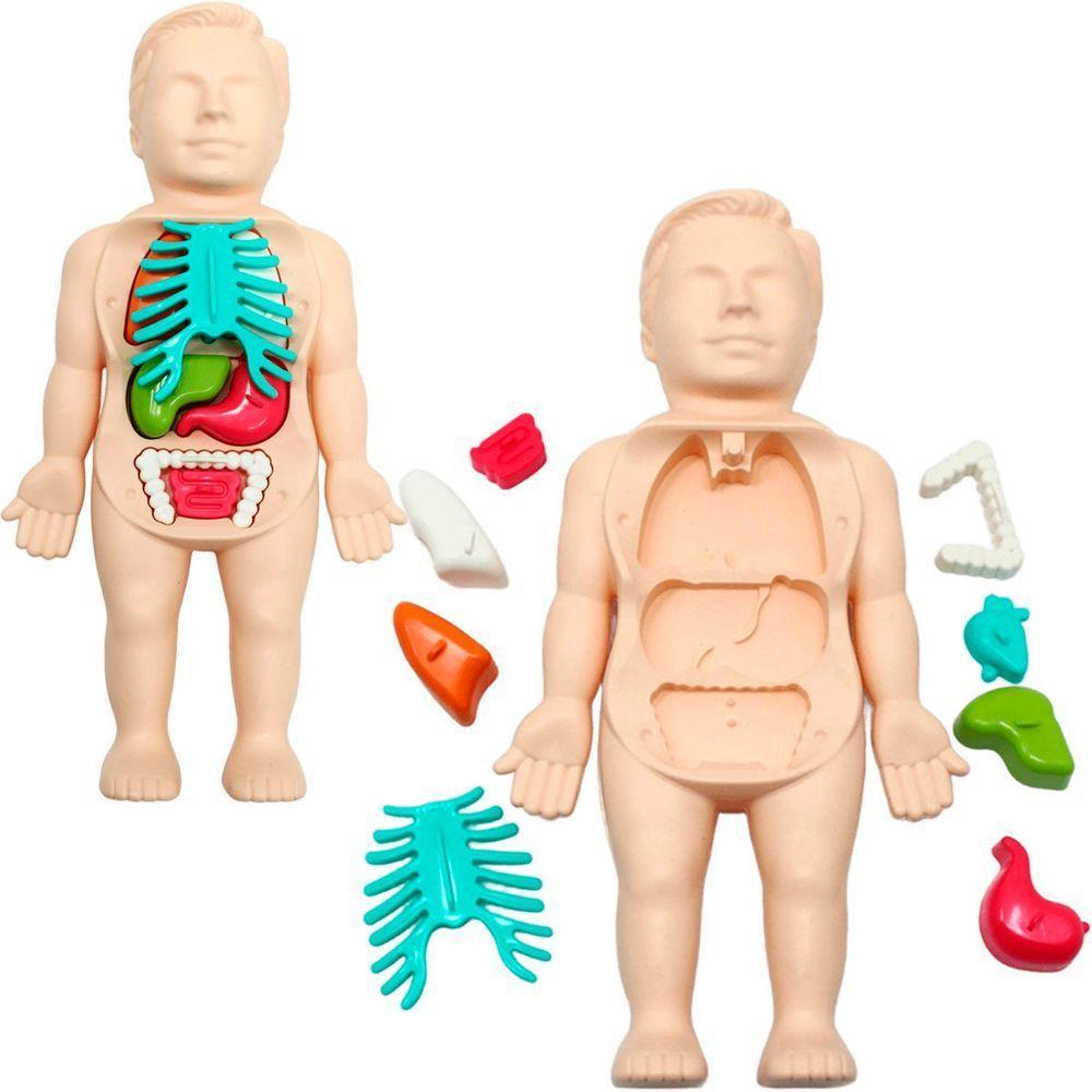 Kit Brinquedo Médico Infantil Anatomia Do Corpo Boneco 25pçs - 6