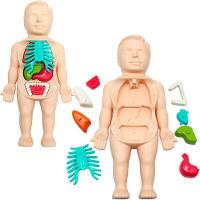 Kit Brinquedo Médico Infantil Anatomia Do Corpo Boneco 25pçs - 6