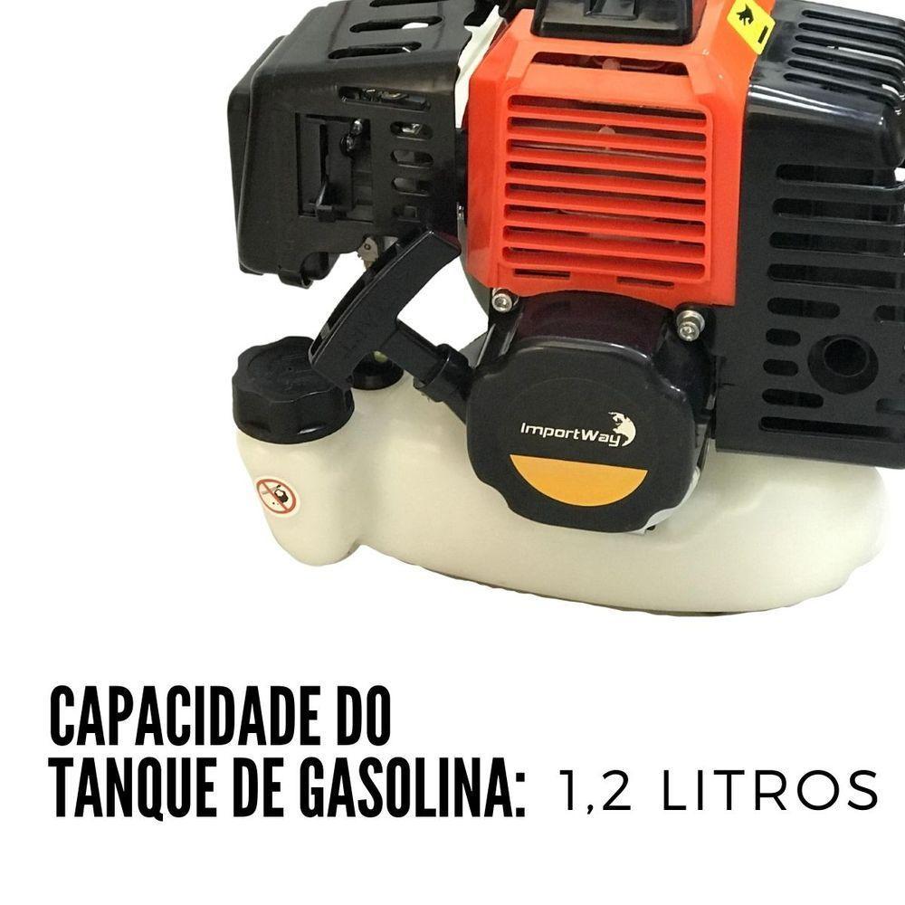 Roçadeira E Capinadeira Profissional A Gasolina Importway Iwrger2t5x163 3hp, 63cc Kit 5x1 Com 3 Facas + Enxada Rotativa - 4