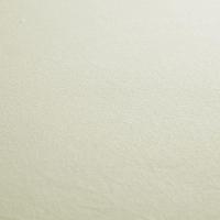 Jogo De Lençol Dia A Dia Liso 2 Peças Solteiro 80% Algodão - 20% Poliéster Percal 140 Fios Cor:palha - 4