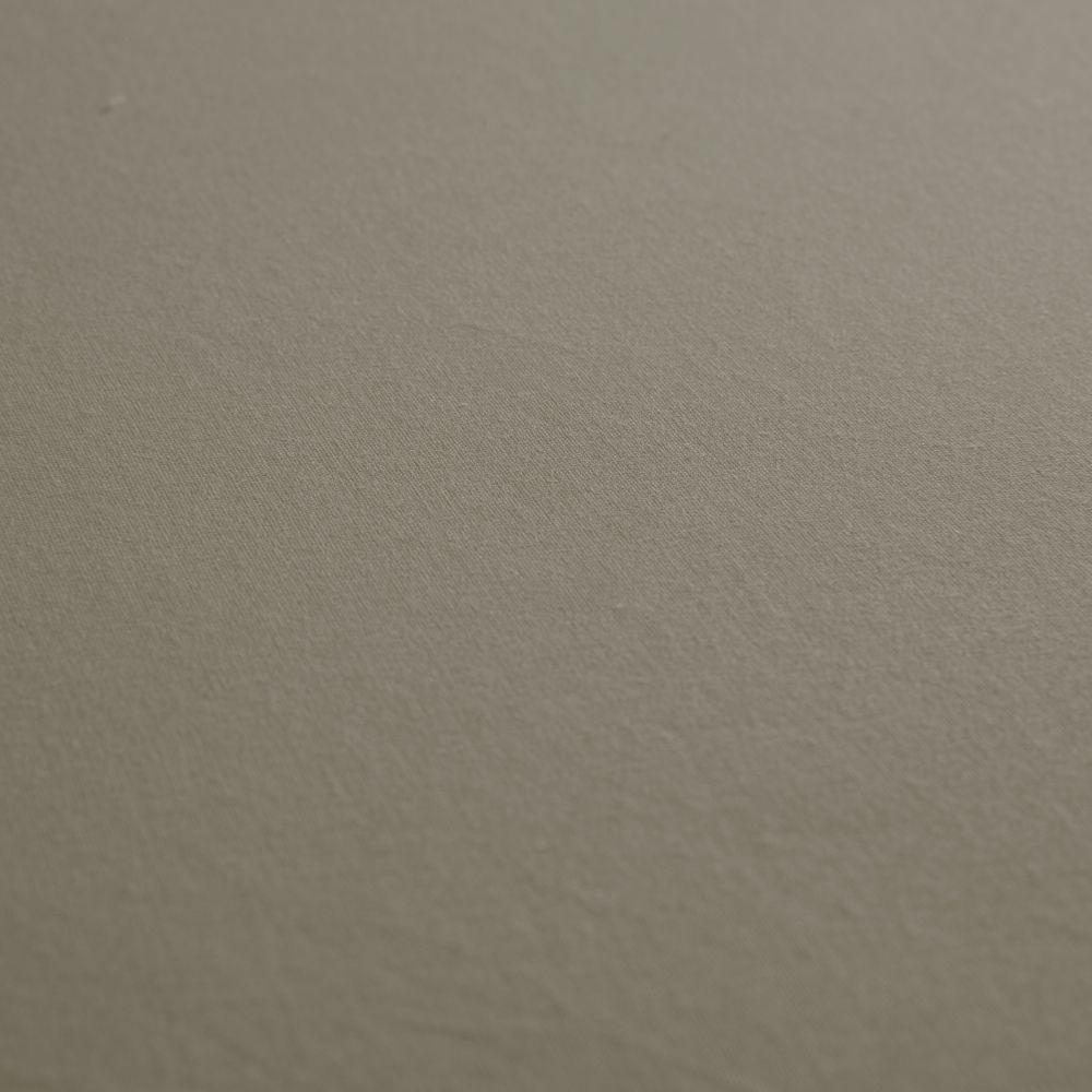 Jogo De Lençol Dia A Dia Liso 2 Peças Solteiro 80% Algodão - 20% Poliéster Percal 140 Fios Cor:cáqui - 2