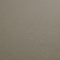 Jogo De Lençol Dia A Dia Liso 2 Peças Solteiro 80% Algodão - 20% Poliéster Percal 140 Fios Cor:cáqui - 2