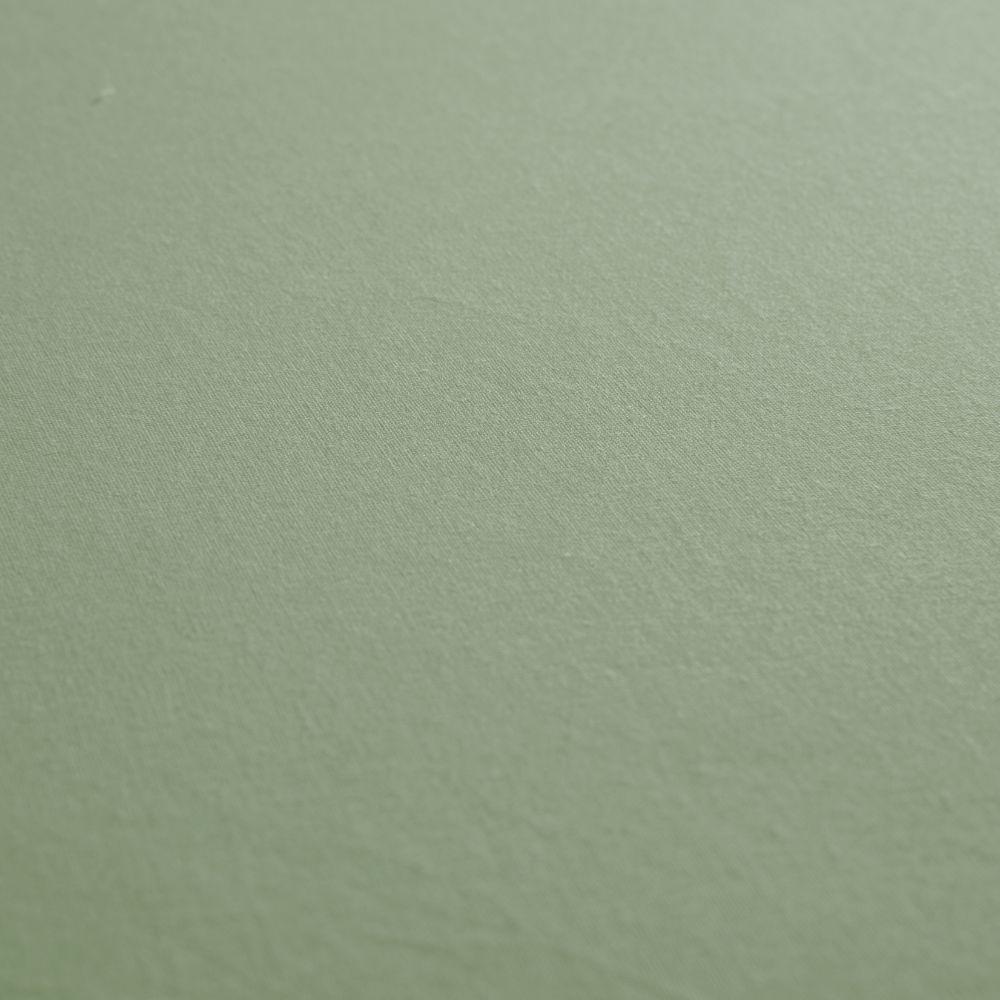 Jogo De Lençol Dia A Dia Liso 2 Peças Solteiro 80% Algodão - 20% Poliéster Percal 140 Fios Cor:verde - 4