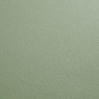 Jogo De Lençol Dia A Dia Liso 2 Peças Solteiro 80% Algodão - 20% Poliéster Percal 140 Fios Cor:verde - 4