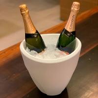 Champanheira 5l Pequena Balde De Gelo Com Parede Dupla Branca - 1