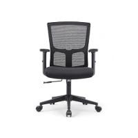 Cadeira Ergonomica Para Escritório Com Tela Mesh E Ajustes Personalizáveis Para Conforto Prolongado - 2