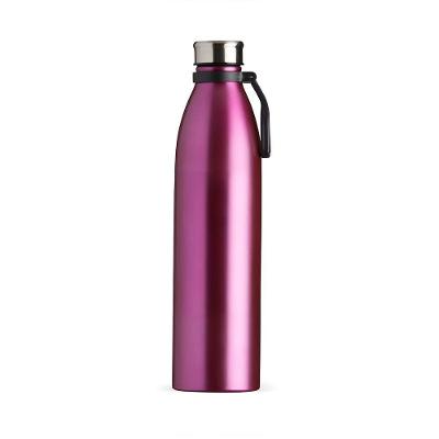 Garrafa De Inox Fosca Com Alça Academia Passeio Roxo