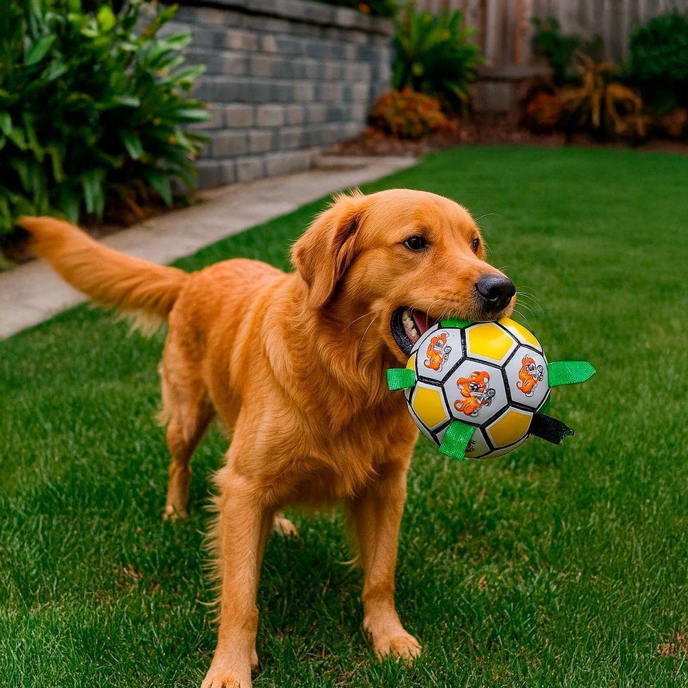 Bola Para Cachorro Mordedor Brinquedo Interativo Pet Azul - 3