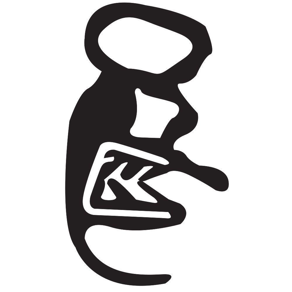 Borracha Da Porta Dianteira Mold Original C3 C4 Após 2008 - 1