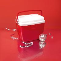 Caixa Térmica 18 Litros 24 Latas Cores Mor Preta - 10