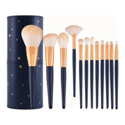 Kit 12 Pincéis De Maquiagem Profissional + Estojo - Platina