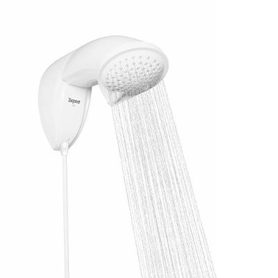 Chuveiro Ducha Eletrônica Nd - Zagonel Voltagem:220v 220v