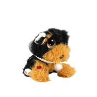 Adota Pets Com Acessórios Indicado Para +3 Anos Multikids Personagem:coockie - 3