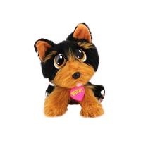 Adota Pets Com Acessórios Indicado Para +3 Anos Multikids Personagem:coockie