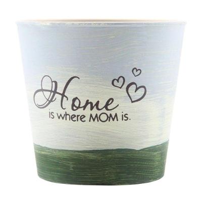 Kit 10 Mini Vasos De Planta Cachepot Estampados Decorados 12,5cm