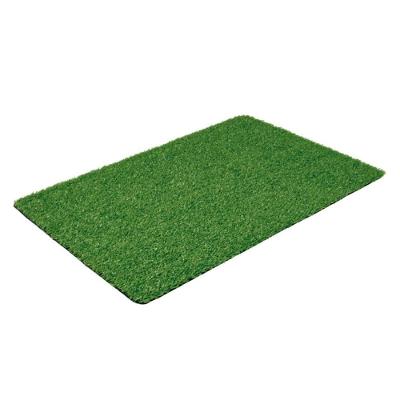 Grama Sintética Artificial 10mm 5x1 Em Rolo 5m² Mor