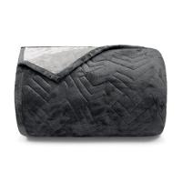Cobertor Buettner Solteiro Flannel Plush 100% Poliéster Dupla Face 160mx240m Metal Escuro / Metal Claro - 1