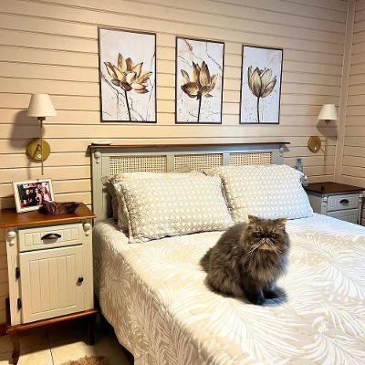 Cabeceira De Cama Com Rattan Branco Laca E Tampo Imbuia Glazer - Queen - 158 Cm