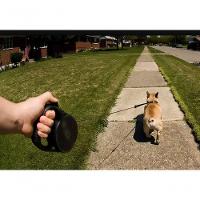 Coleira Guia Retrátil Para Cachorro Extensor Até 05 Metros - 9