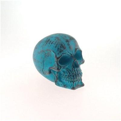 Decoração Caveira Resina De Varias Cores - Enfeite Produto Azul