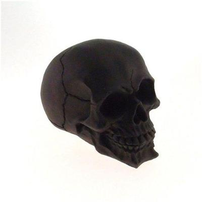 Decoração Caveira Resina De Varias Cores - Enfeite Produto Preto