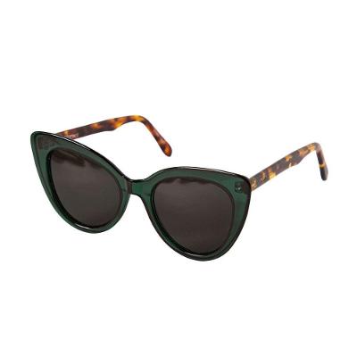 Óculos Solar Modelo Ipanema Verde Com Haste Tartaruga