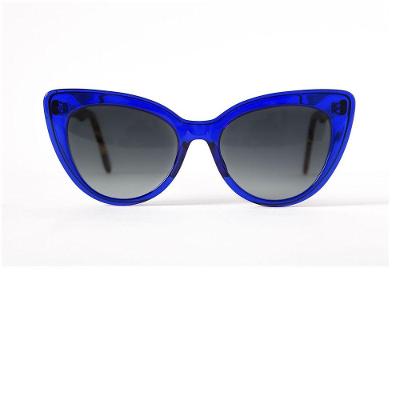 Óculos Solar Modelo Ipanema Azul Gênero Feminino