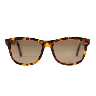 Óculos Solar Modelo Paris Tartaruga