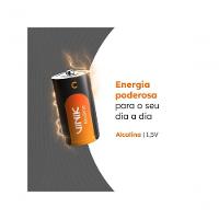 Pilha Alcalina C Lr14 C/2 Vpcb2