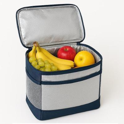 Bolsa Termica Portatil 17l Academia Marmita Com Alça Para Transporte Frasqueira Impermeavel Cooler Dobrável Camping