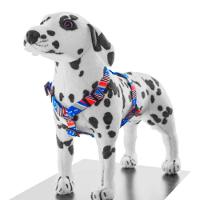 Peitoral Para Cães H Osso Azul Ampla Pet Tamanho G - 2