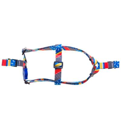 Peitoral Para Cães Osso Azul Ampla Pet Tamanho G